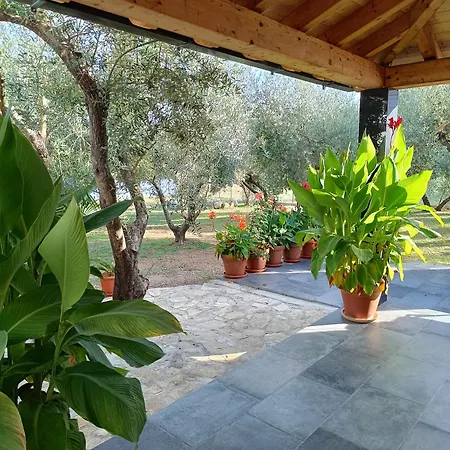 Apartment Olive Garden Molunat