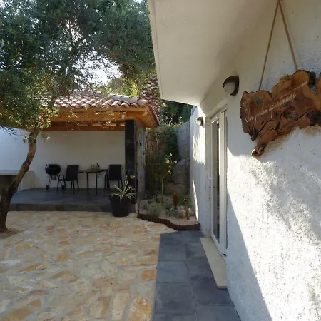 Olive Garden * Molunat