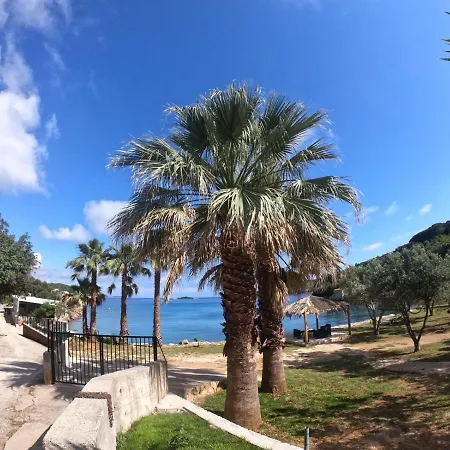 Appartement Olive Garden Beachside Hideaway
