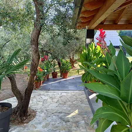 Apartman Olive Garden