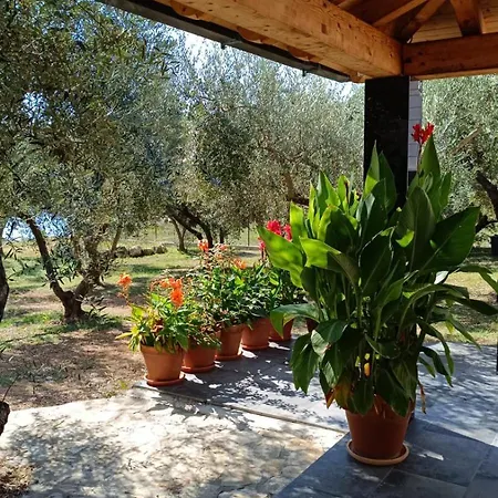 Apartamento Olive Garden Beachside Hideaway