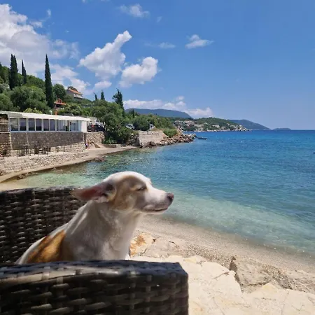 Olive Garden Beachside Hideaway Appartement *
