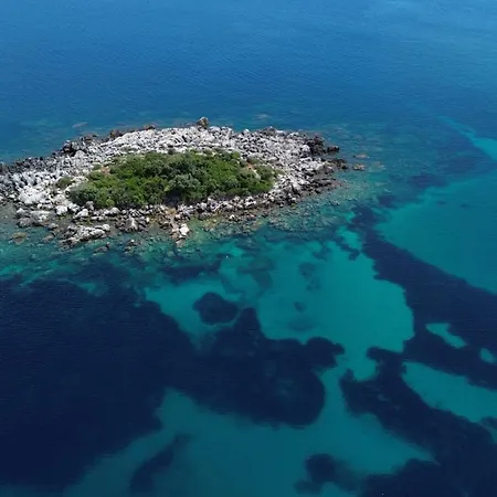 Olive Garden Molunat