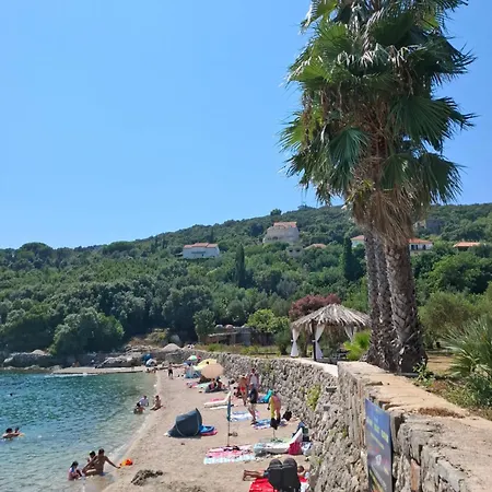 Appartement Olive Garden Beachside Hideaway Molunat