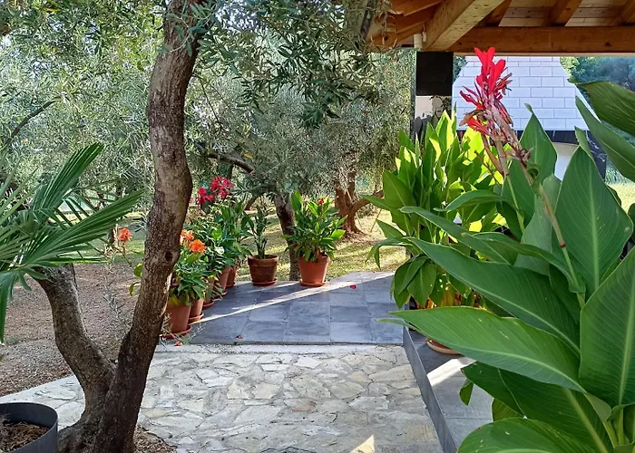 아파트 Olive Garden Beachside Hideaway