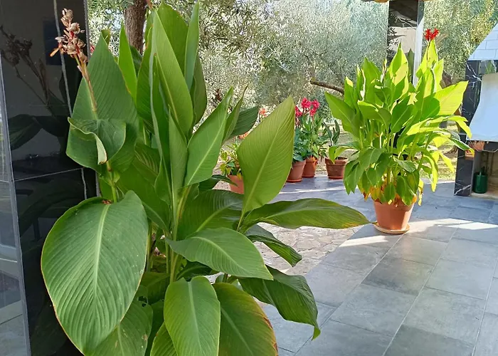 Olive Garden Beachside Hideaway 아파트 *