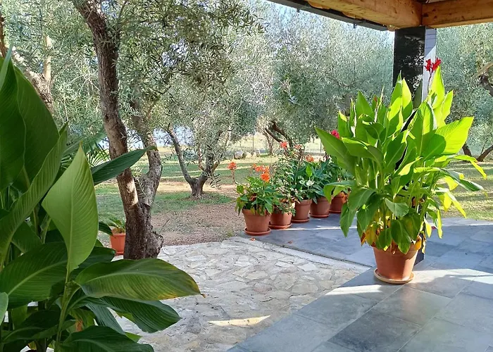 아파트 Olive Garden Beachside Hideaway 몰루나트