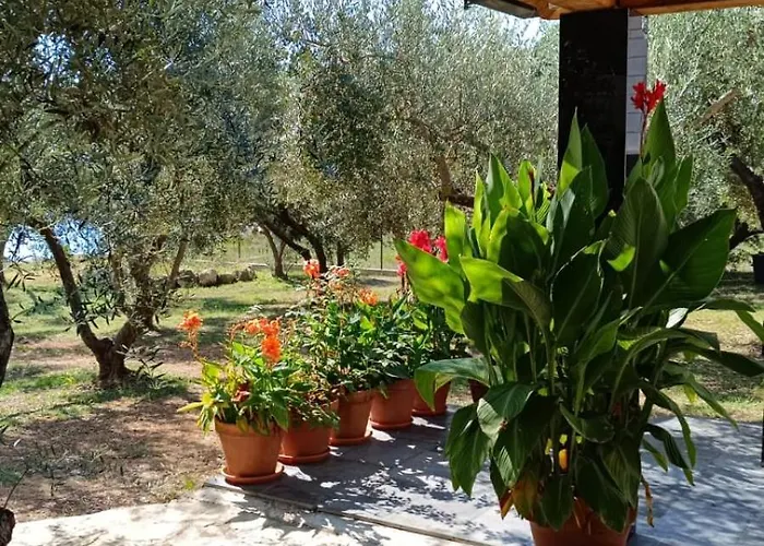 아파트 Olive Garden Beachside Hideaway