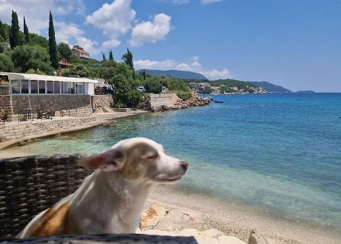 Olive Garden Beachside Hideaway 아파트 *