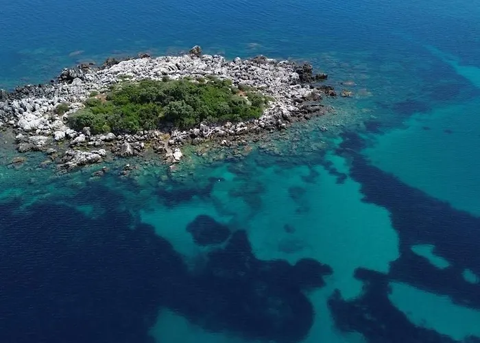 Olive Garden Beachside Hideaway 몰루나트